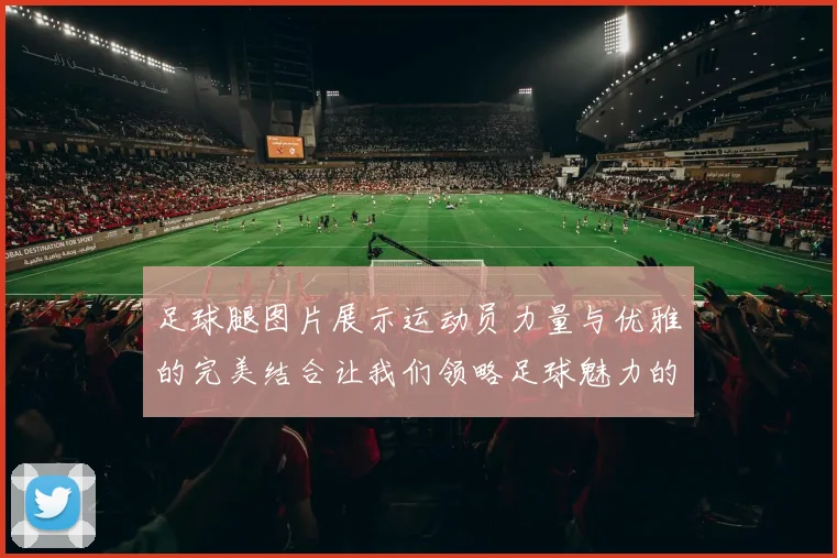 足球腿图片展示运动员力量与优雅的完美结合让我们领略足球魅力的独特瞬间