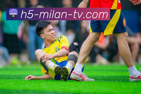 足球模拟投注器助你精准预测赛事结果提升投注胜率的秘密揭秘